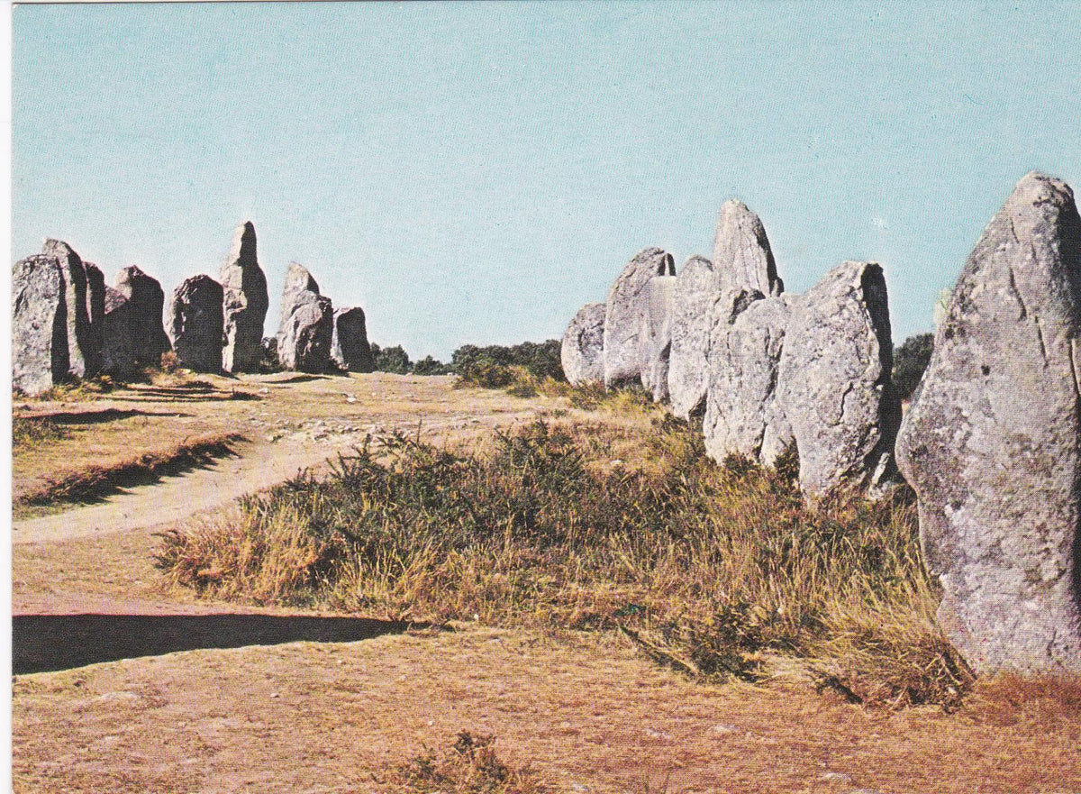 POSTAL B6275: CARNAC: ARTE PREHISTORICO