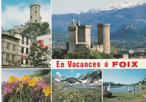 POSTAL B6288: ARIEGE: FOIX
