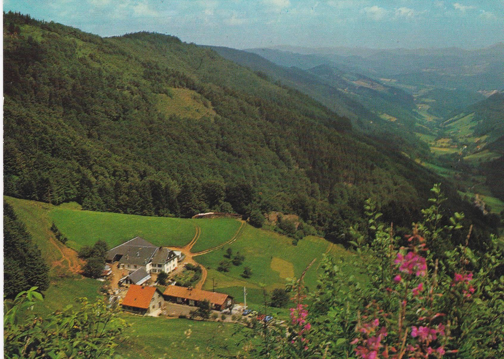 POSTAL B6309: FERME AUBERGE DE LA GRAINE JOHE