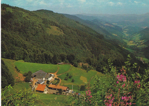 POSTAL B6309: FERME AUBERGE DE LA GRAINE JOHE