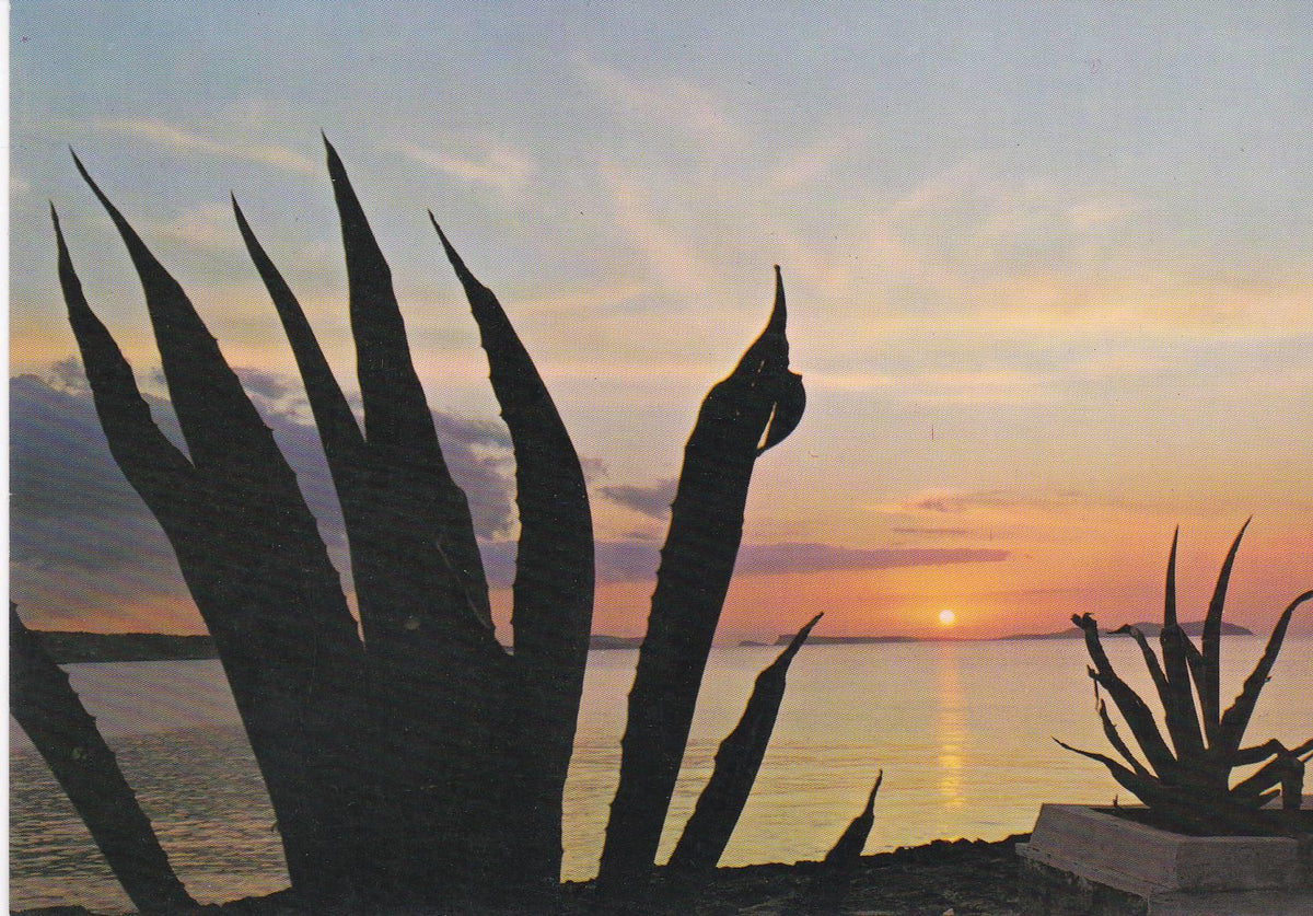 POSTAL B6347: PUESTA DE SOL
