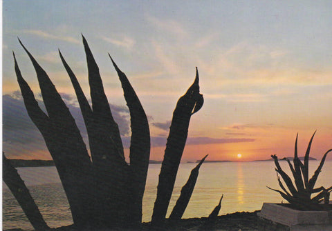 POSTAL B6347: PUESTA DE SOL