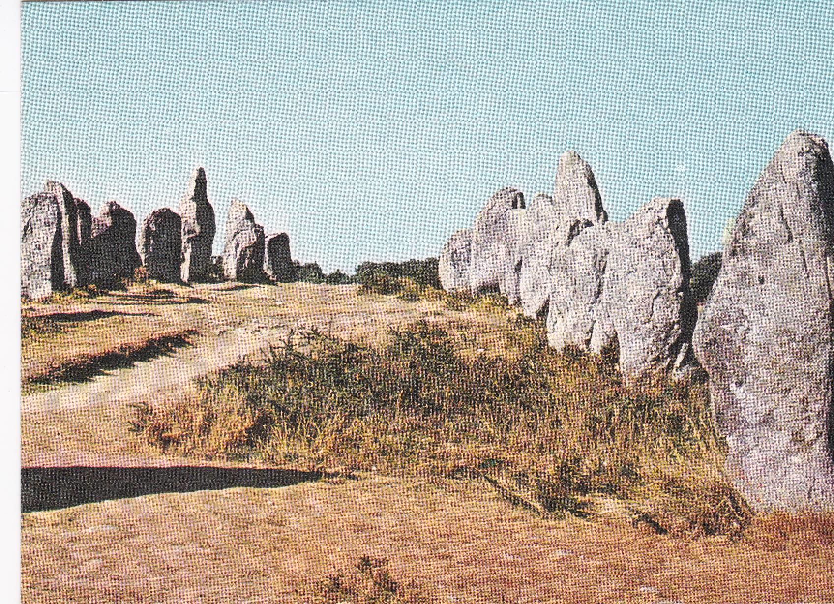 POSTAL B6407: ARTE PREHISTORICO: CARNAC