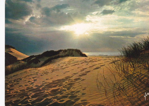 POSTAL B6429: FRANCIA: PUESTA DE SOL DUNAS