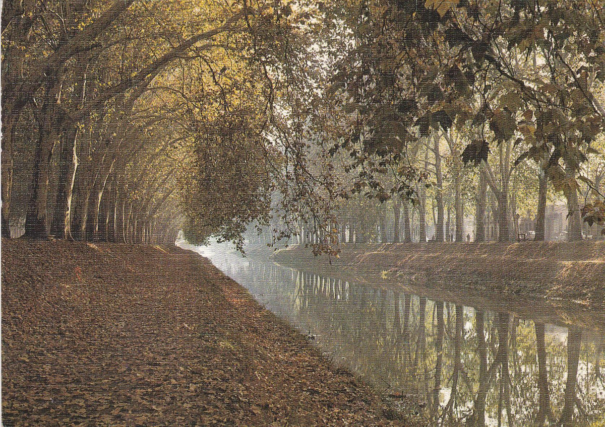 POSTAL B6446: TOULOUSE: LE CANAL DE MIDI