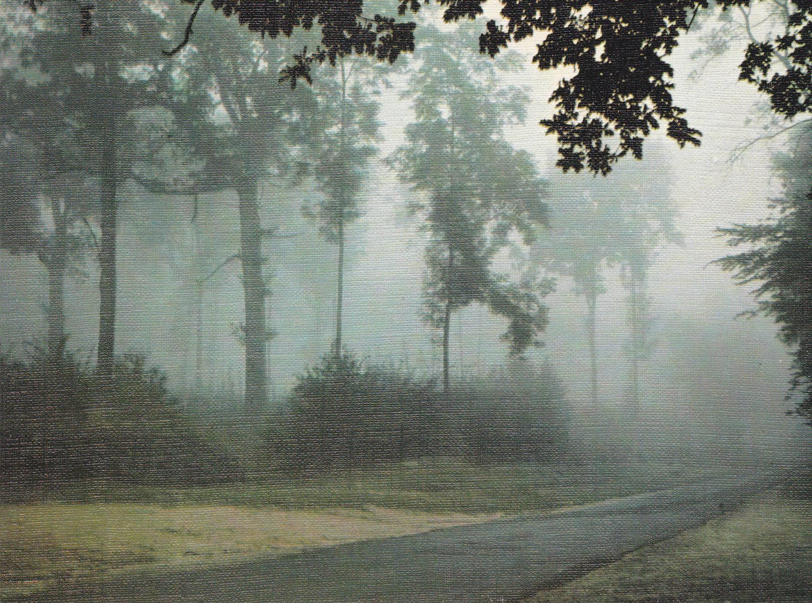 POSTAL B6478: FRANCIA: BOSQUE FRONDOSO