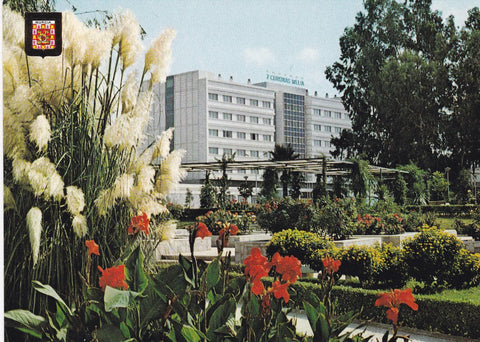 POSTAL B6498: MURCIA: DETALLE DE LA ROSALEDA