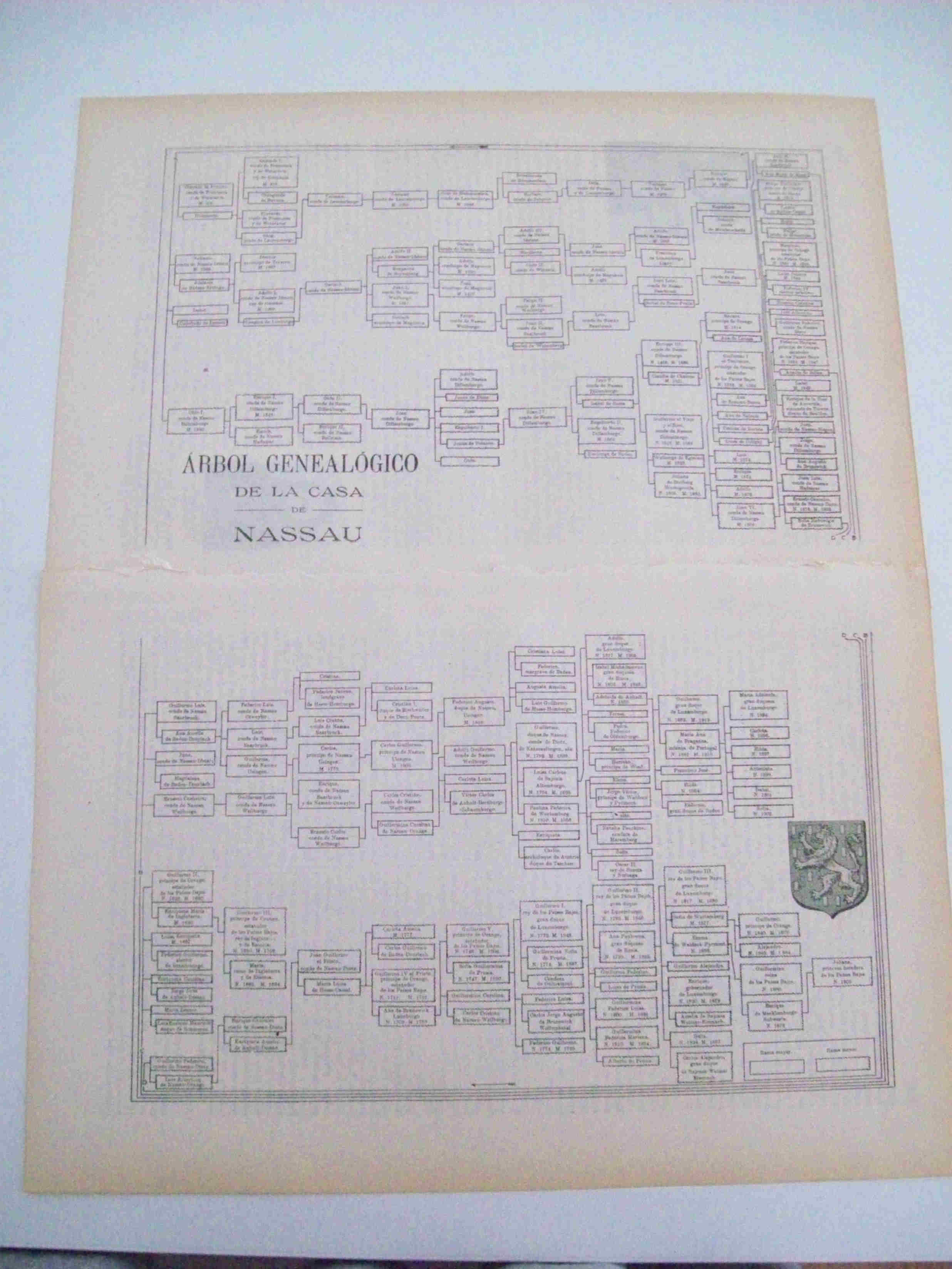 LAMINA ESPASA 10741: Arbol genealogico de la Casa de Nassau