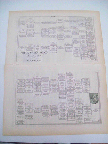 LAMINA ESPASA 10741: Arbol genealogico de la Casa de Nassau
