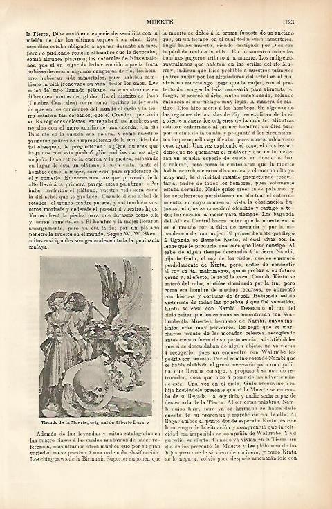 LAMINA ESPASA 11449: Eseudo de la Muerte por Durero