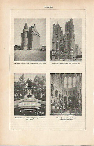LAMINA ESPASA 11820: Vistas de Bruselas Belgica