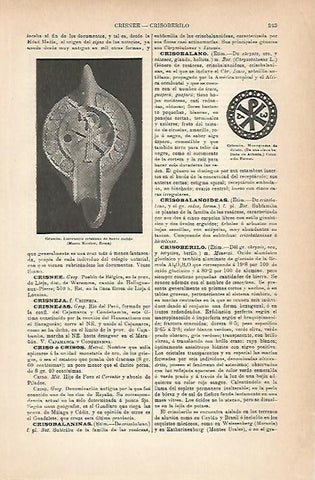 LAMINA ESPASA 14202: Lucerna del Museo Kircher de Roma