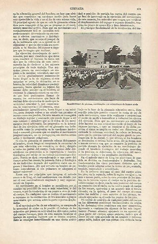 LAMINA ESPASA 16157: Semiflexiones de piernas