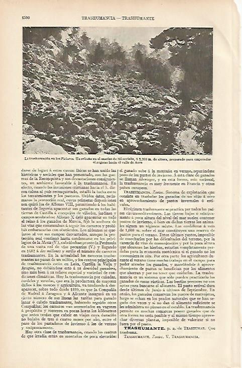 LAMINA ESPASA 11170: La transhumacion en los Pirineos