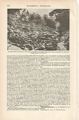 LAMINA ESPASA 11170: La transhumacion en los Pirineos