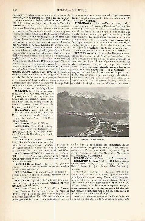 LAMINA ESPASA 17751: Vista de Melide Suiza