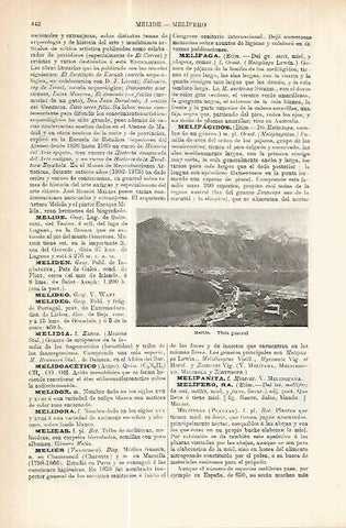 LAMINA ESPASA 17751: Vista de Melide Suiza