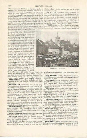 LAMINA ESPASA 14121: Mercado dde Shighisoara Rumania