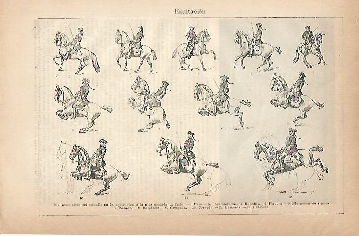 LAMINA ESPASA 18818: Tipos de aires de caballo 