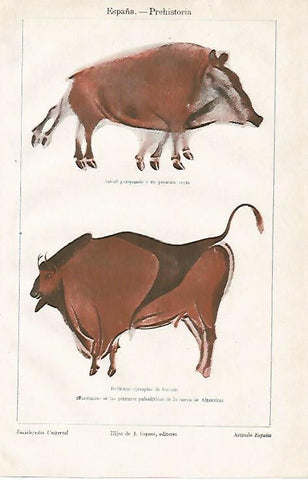 LAMINA ESPASA 10267: Facsimiles de las pinturas de Altamira