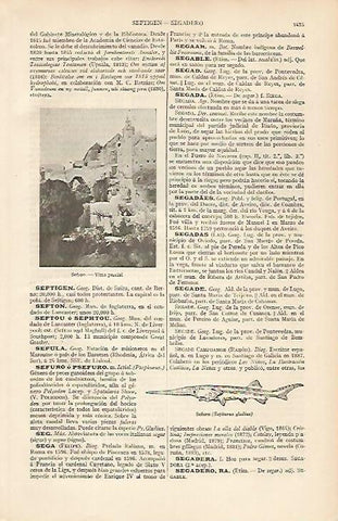 LAMINA ESPASA 19662: Vista parcial de Seftou Inglaterra