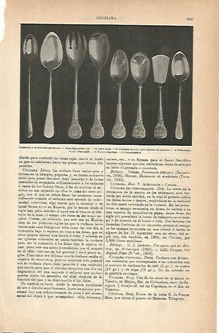 LAMINA ESPASA 14315: Tipos de cucharas modernas