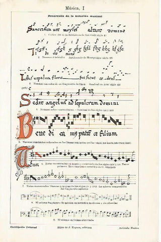 LAMINA ESPASA 10419: Desarrollo de la notacion musical