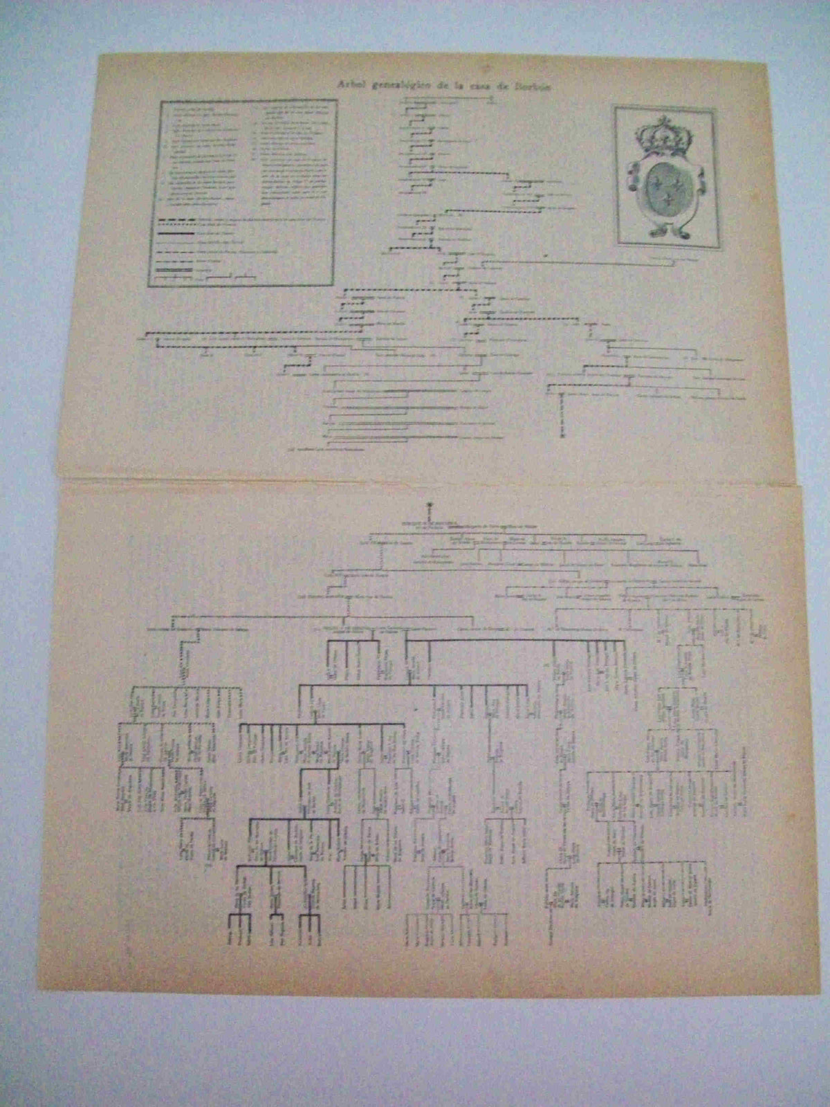 LAMINA ESPASA 11773: Arbol genealogico de la casa de Borbon