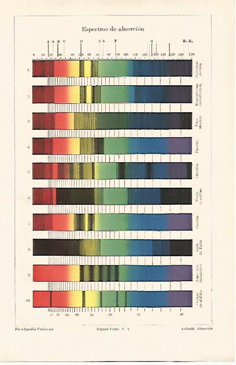 LAMINA ESPASA 13198: Espectros de absorcion