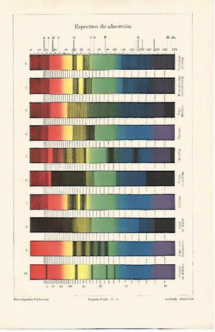 LAMINA ESPASA 13198: Espectros de absorcion