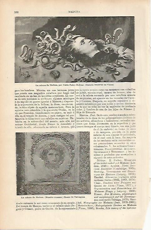 LAMINA ESPASA 11602: La cabeza de Medusa por Rubens