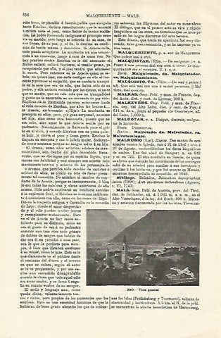 LAMINA ESPASA 18581: Vista de Mals Austria