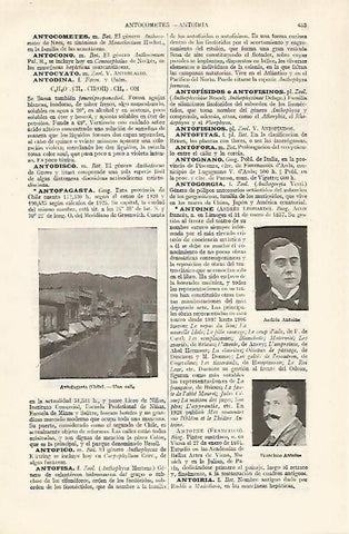 LAMINA ESPASA 19064: Calle de Antofagasta Chile