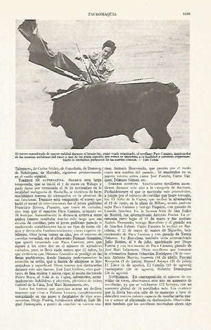 LAMINA ESPASA 13491: Paco Camino