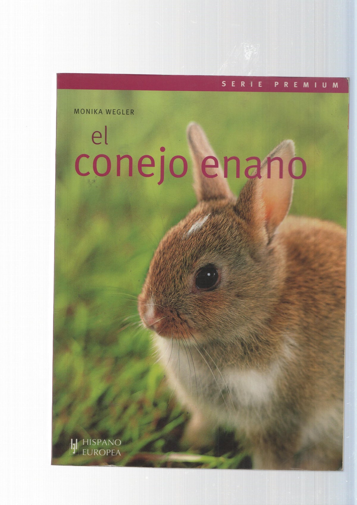 serie Premium: El conejo enano