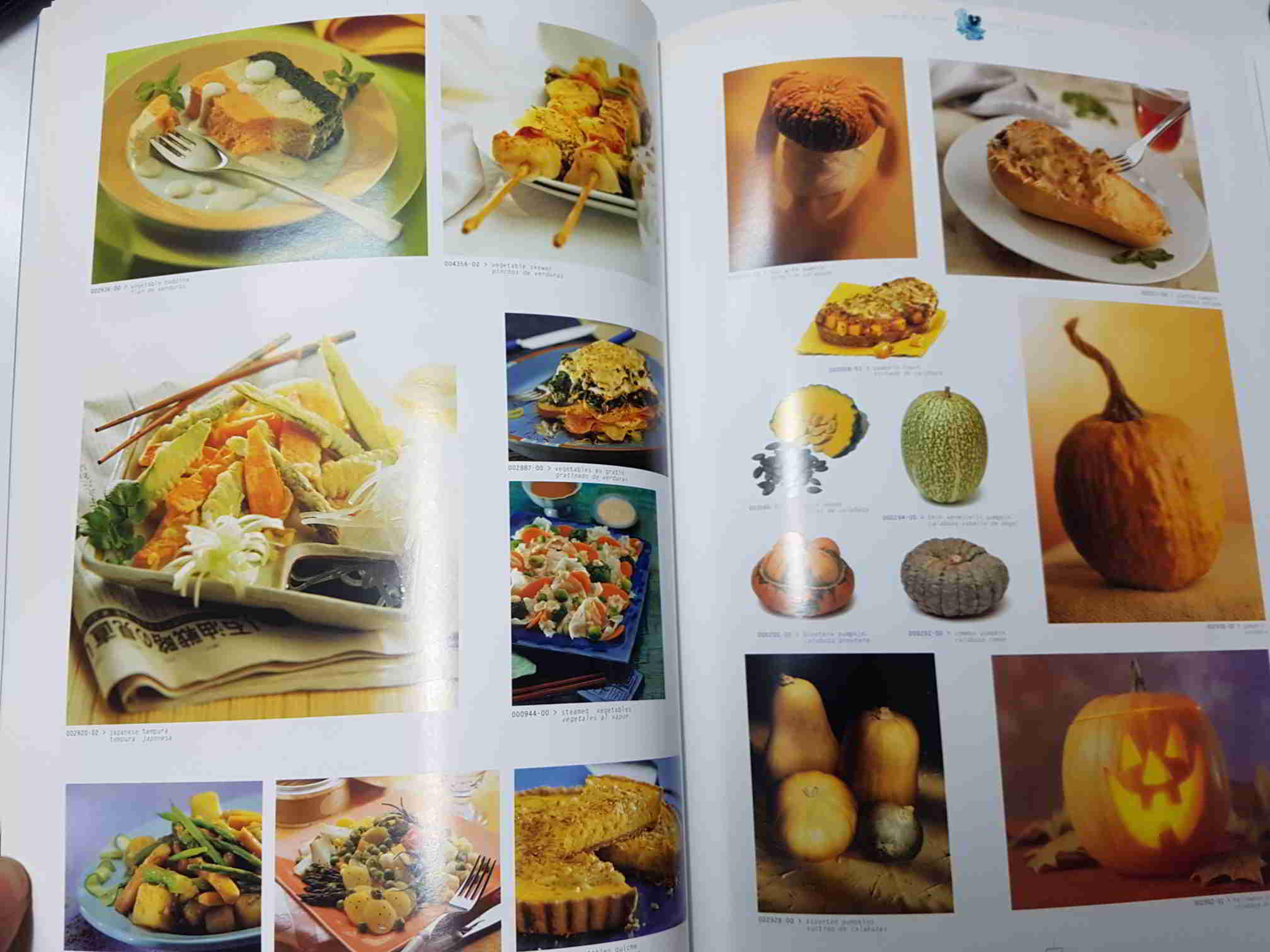 Libro: Delights a fine selection of food Photography, over 750 food pictures