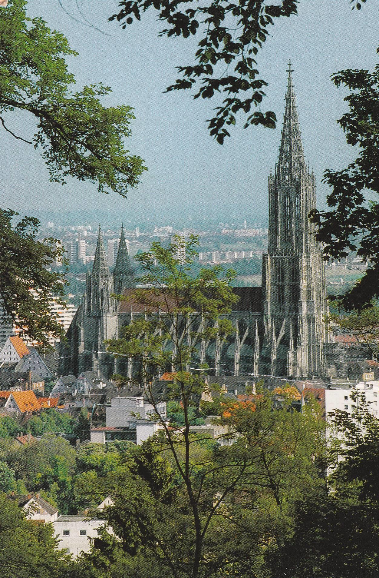 POSTAL B6611: ALEMANIA: ULM AN DER DONAU
