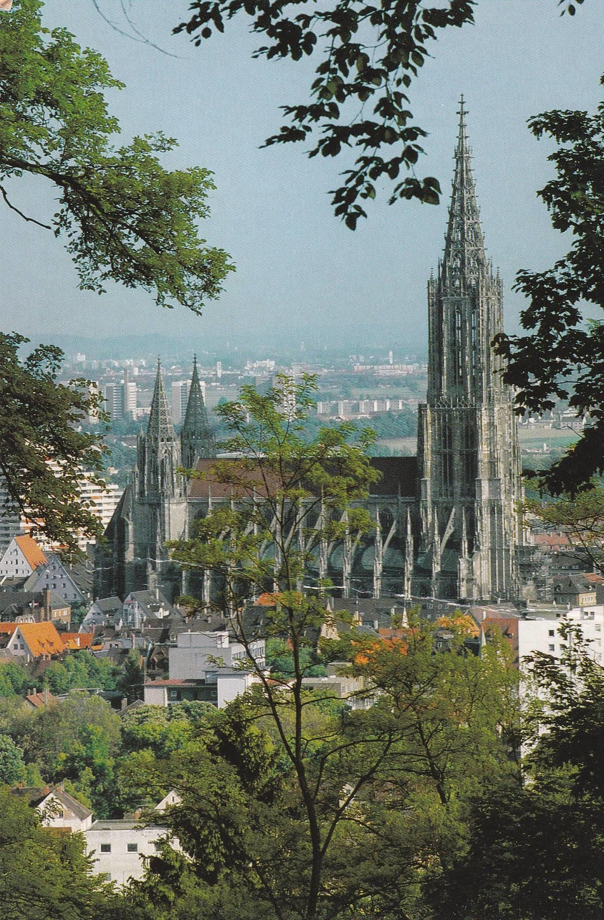 POSTAL B6611: ALEMANIA: ULM AN DER DONAU