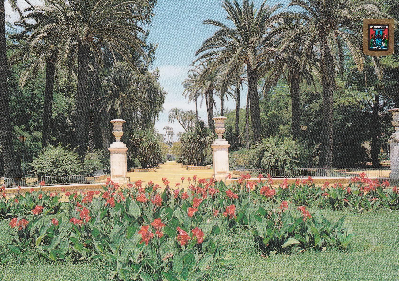 POSTAL B6635: SEVILLA: JARDINES DE MURILLO
