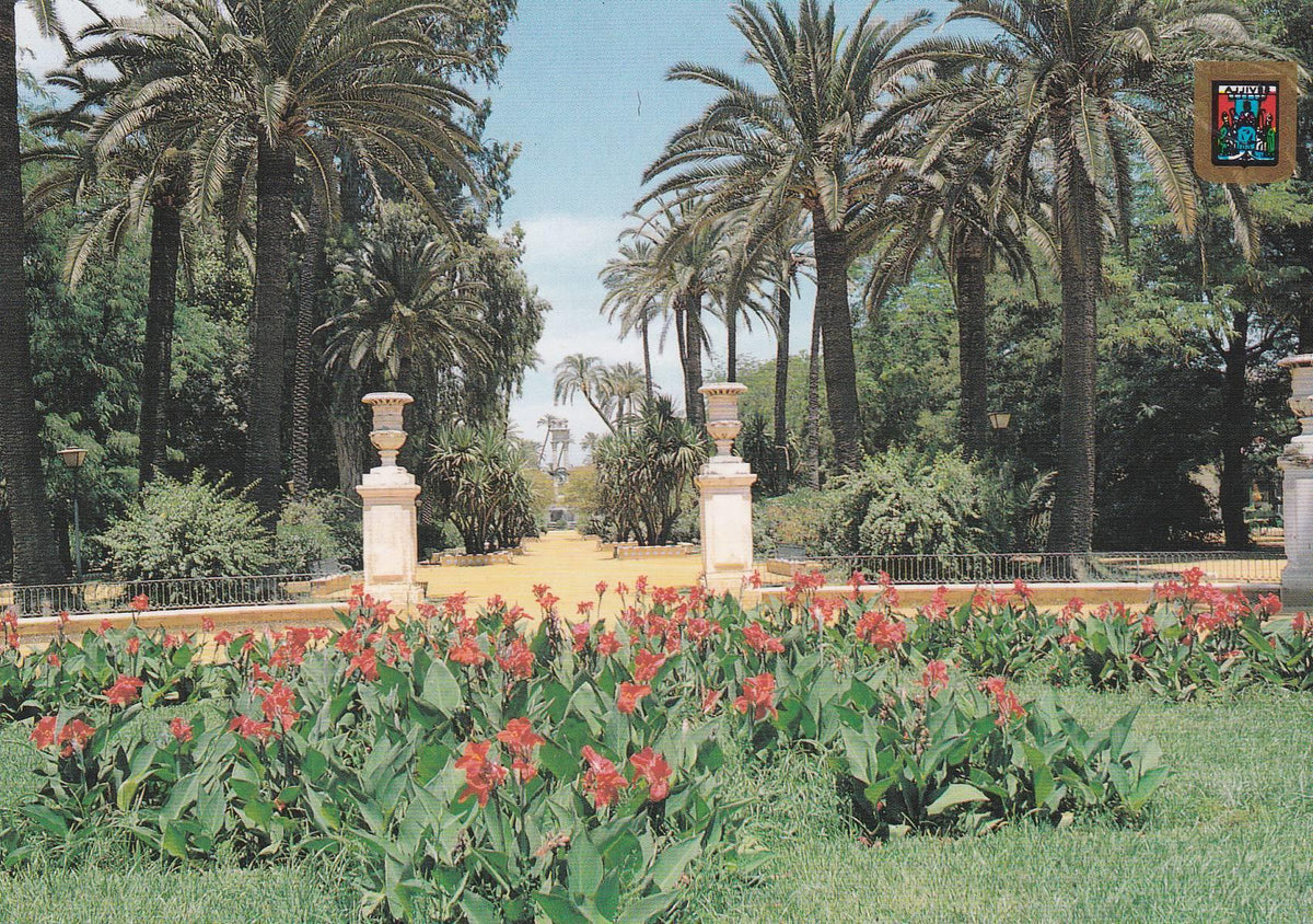 POSTAL B6635: SEVILLA: JARDINES DE MURILLO