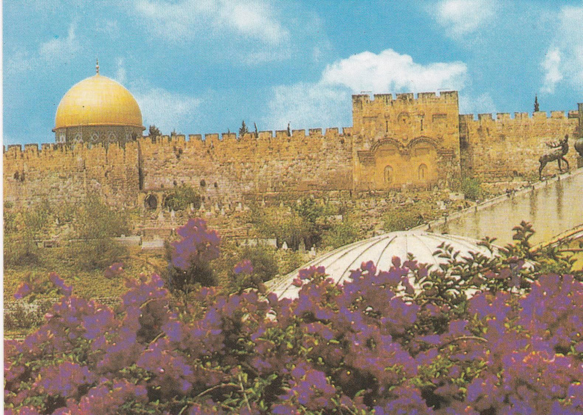 POSTAL B6655: JESURALEM: CIUDAD ANTIGUA. PUERTA DE ORO