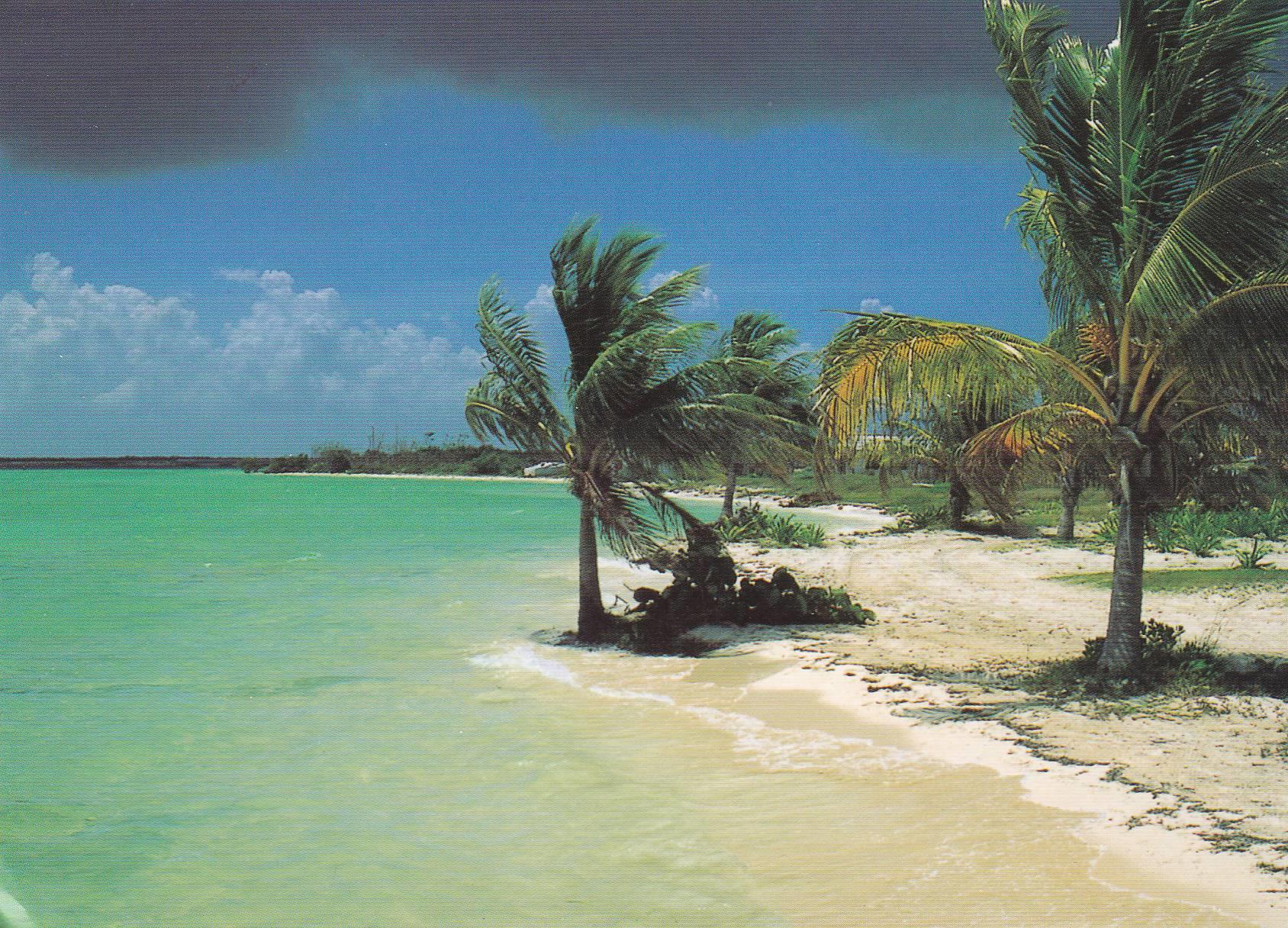 POSTAL B6684: CAYERIA NORTE