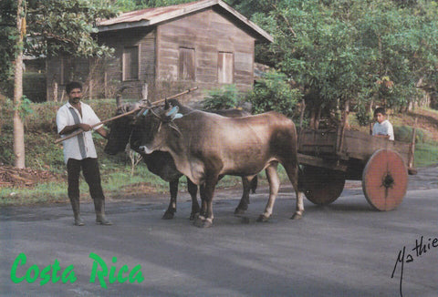 POSTAL B6685: COSTA RICA: CARRETA CON BUEYES