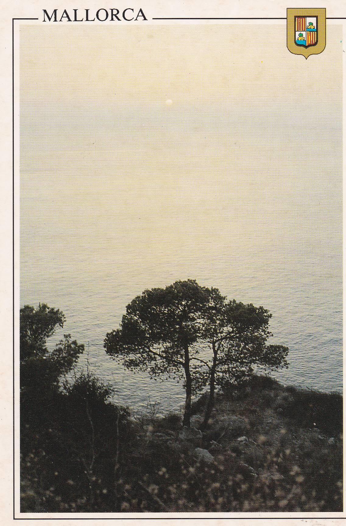 POSTAL B6720: MALLORCA: CALA
