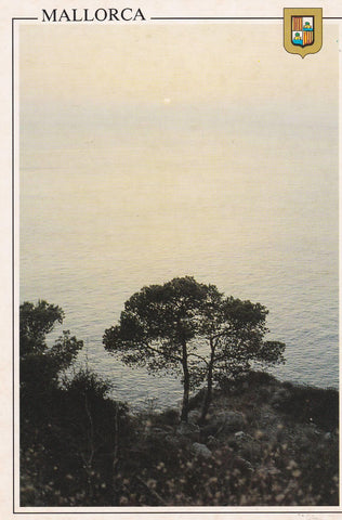 POSTAL B6720: MALLORCA: CALA