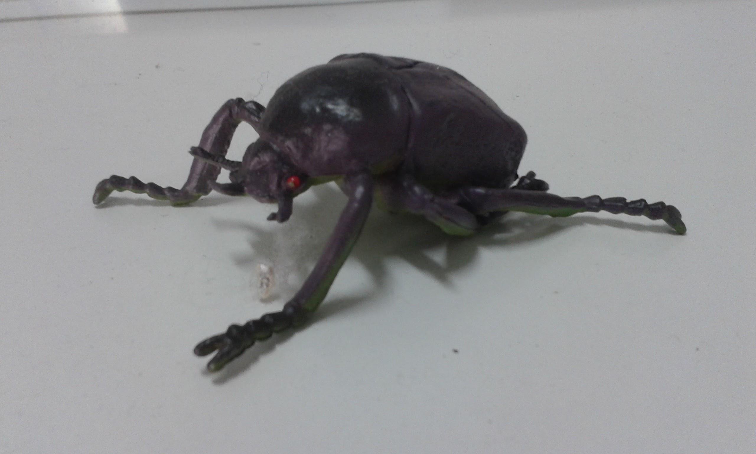 Figura goma modelo : Escarabajo rinoceronte hembra