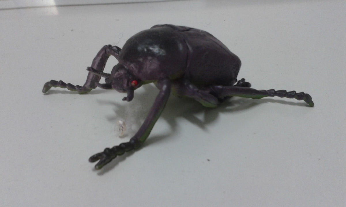 Figura goma modelo : Escarabajo rinoceronte hembra