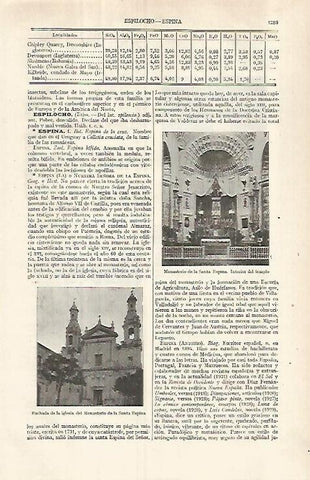 LAMINA ESPASA 29681: Monasterio de la Santa Espina