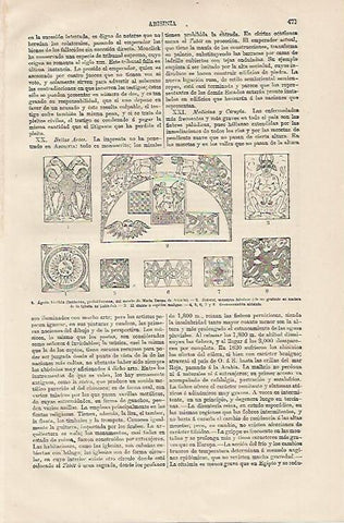 LAMINA ESPASA 13166: Ornamentacion abisinia