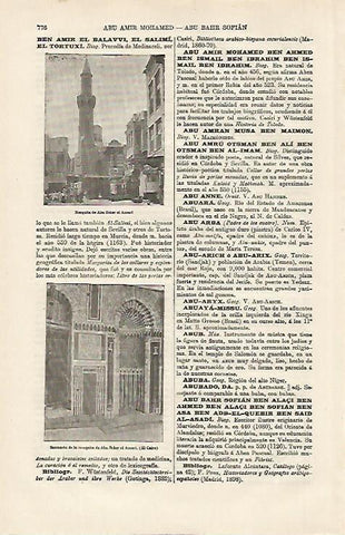 LAMINA ESPASA 13200: Mezquita de Abu Beker el Ansari en El Cairo